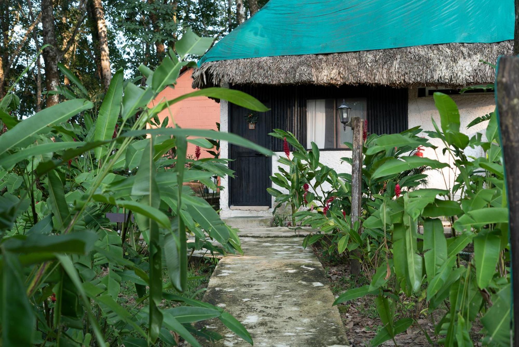 Hotel Cabanas Safari Palenque Zewnętrze zdjęcie
