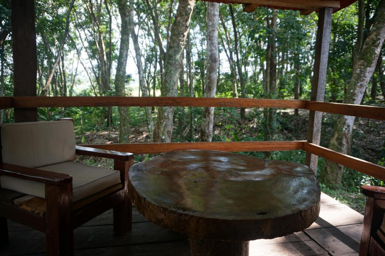 Hotel Cabanas Safari Palenque Zewnętrze zdjęcie